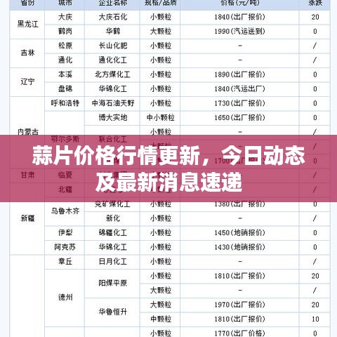 蒜片價格行情更新,今日動態及最新消息速遞