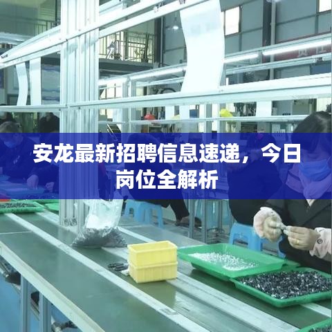 安龍最新招聘信息速遞,今日崗位全解析