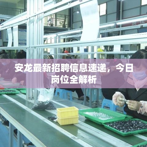 安龍最新招聘信息速遞,今日崗位全解析