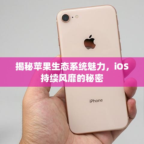 揭秘蘋果生態系統魅力,iOS持續風靡的秘密