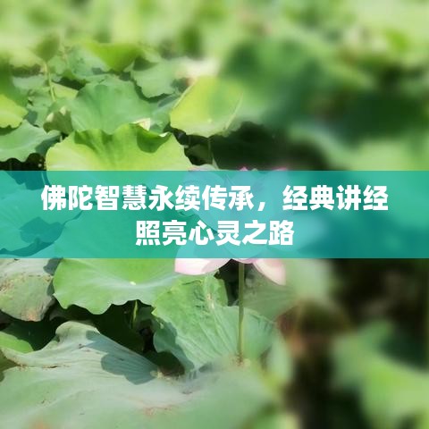 佛陀智慧永續傳承,經典講經照亮心靈之路