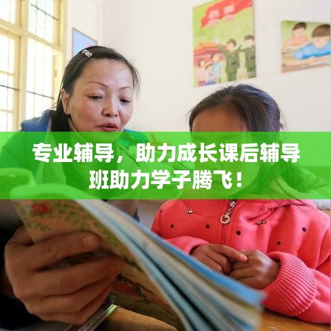 專業(yè)輔導,助力成長課后輔導班助力學子騰飛!