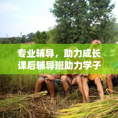 專業(yè)輔導(dǎo),助力成長(zhǎng)課后輔導(dǎo)班助力學(xué)子騰飛!