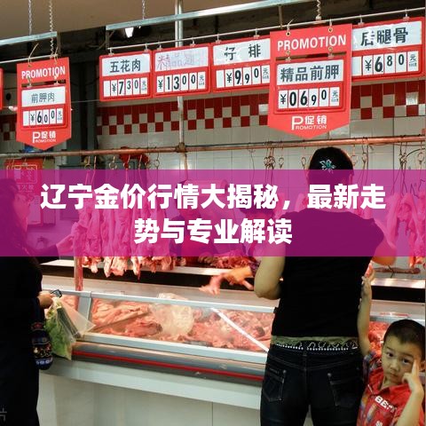 遼寧金價行情大揭秘,最新走勢與專業解讀