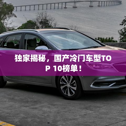 獨家揭秘，國產冷門車型TOP 10榜單！