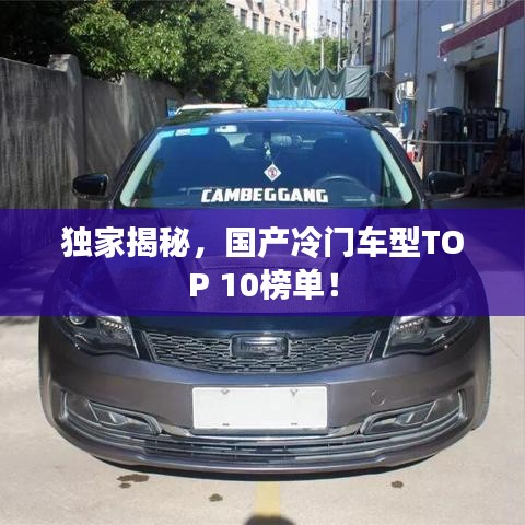 獨家揭秘,國產冷門車型TOP 10榜單!