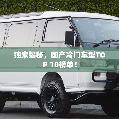 獨家揭秘,國產冷門車型TOP 10榜單!