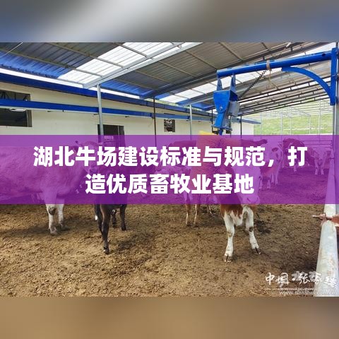 湖北牛場(chǎng)建設(shè)標(biāo)準(zhǔn)與規(guī)范,打造優(yōu)質(zhì)畜牧業(yè)基地