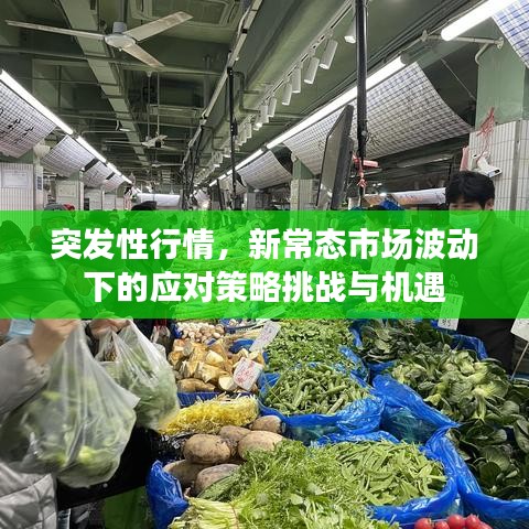 突發性行情，新常態市場波動下的應對策略挑戰與機遇