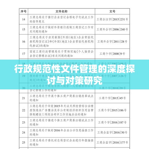 行政規(guī)范性文件管理的深度探討與對(duì)策研究