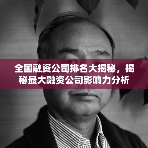 全國融資公司排名大揭秘,揭秘最大融資公司影響力分析