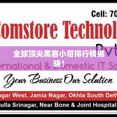 全球頂尖黑客小哥排行榜揭曉！