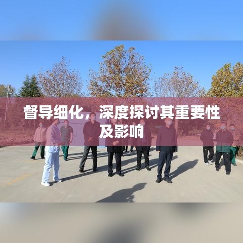 督導細化,深度探討其重要性及影響