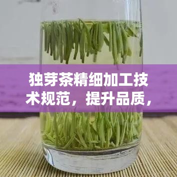 獨芽茶精細加工技術規范，提升品質，百度收錄必備指南