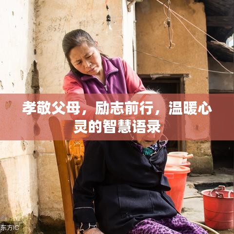 孝敬父母,勵志前行,溫暖心靈的智慧語錄