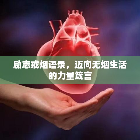 勵(lì)志戒煙語(yǔ)錄,邁向無(wú)煙生活的力量箴言