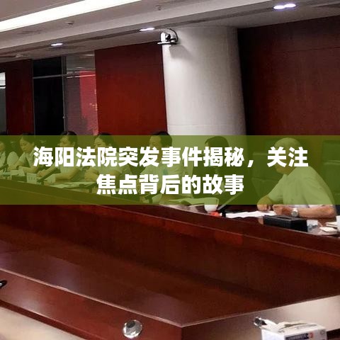 海陽法院突發事件揭秘,關注焦點背后的故事