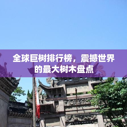 全球巨樹排行榜，震撼世界的最大樹木盤點