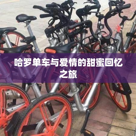 哈羅單車與愛情的甜蜜回憶之旅