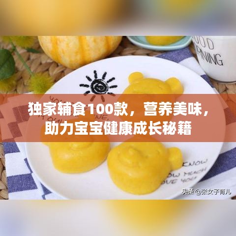 獨家輔食100款，營養(yǎng)美味，助力寶寶健康成長秘籍