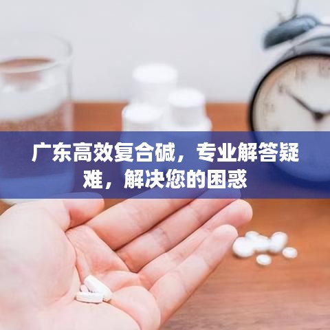 廣東高效復(fù)合堿，專業(yè)解答疑難，解決您的困惑