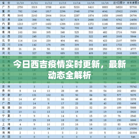 今日西吉疫情實時更新，最新動態全解析