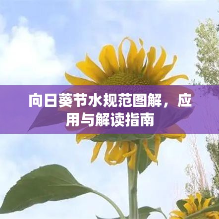 向日葵節(jié)水規(guī)范圖解,應(yīng)用與解讀指南