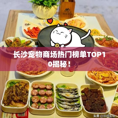 長沙寵物商場熱門榜單TOP10揭秘！