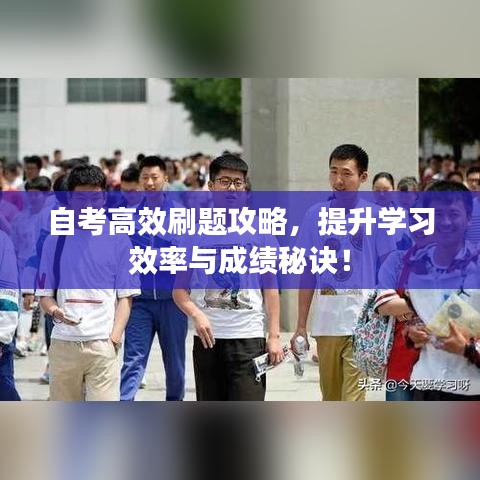 自考高效刷題攻略,提升學習效率與成績秘訣!