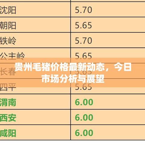貴州毛豬價格最新動態，今日市場分析與展望