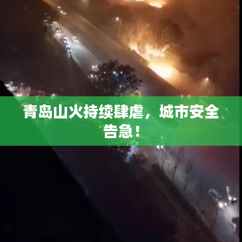 青島山火持續(xù)肆虐，城市安全告急！