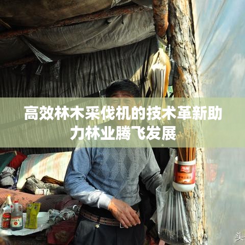 高效林木采伐機的技術革新助力林業騰飛發展