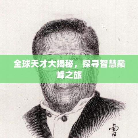 全球天才大揭秘，探尋智慧巔峰之旅