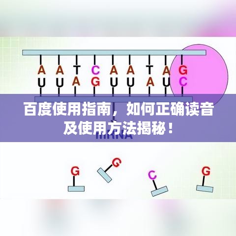 百度使用指南,如何正確讀音及使用方法揭秘!