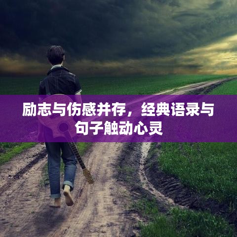 勵志與傷感并存，經典語錄與句子觸動心靈