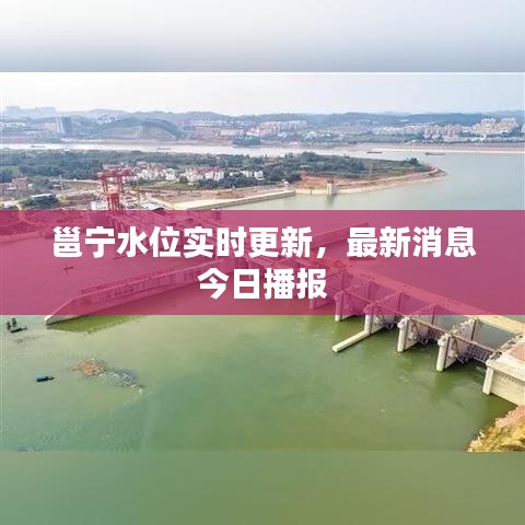 邕寧水位實時更新,最新消息今日播報