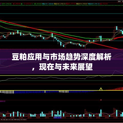 豆粕應用與市場趨勢深度解析，現在與未來展望