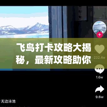 飛鳥打卡攻略大揭秘,最新攻略助你暢游天際!