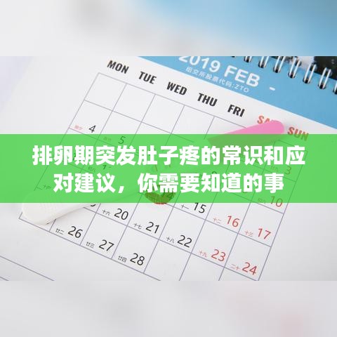 排卵期突發肚子疼的常識和應對建議,你需要知道的事