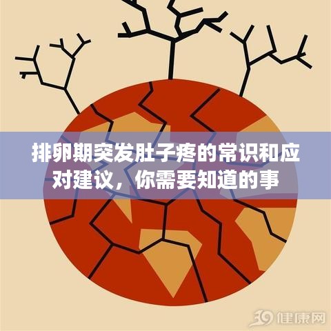 排卵期突發(fā)肚子疼的常識(shí)和應(yīng)對(duì)建議,你需要知道的事
