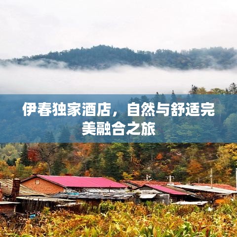 伊春獨家酒店,自然與舒適完美融合之旅