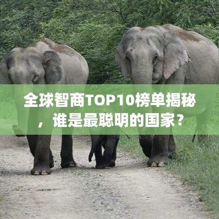 全球智商TOP10榜單揭秘，誰是最聰明的國家？