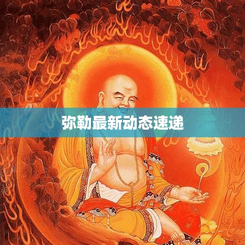 彌勒最新動態速遞