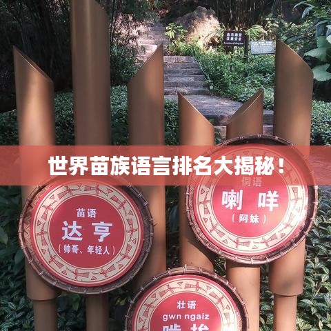 世界苗族語言排名大揭秘！