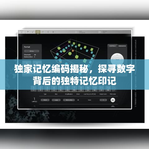 獨家記憶編碼揭秘,探尋數字背后的獨特記憶印記