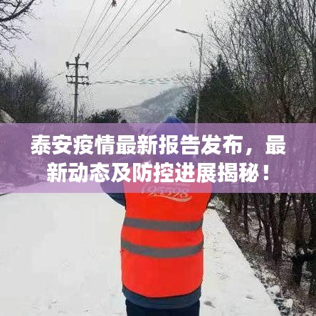 泰安疫情最新報告發(fā)布，最新動態(tài)及防控進展揭秘！