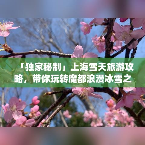 「獨(dú)家秘制」上海雪天旅游攻略,帶你玩轉(zhuǎn)魔都浪漫冰雪之旅!