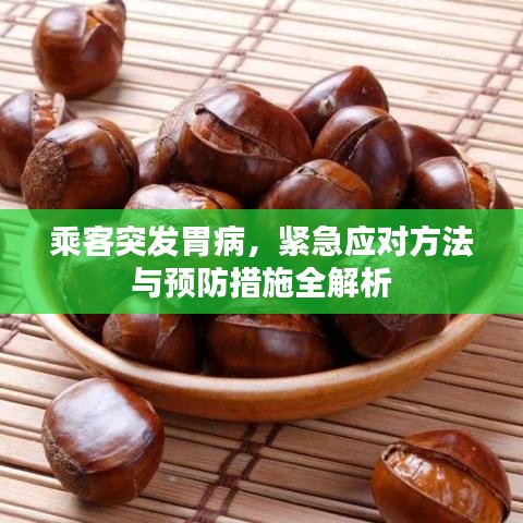 乘客突發胃病,緊急應對方法與預防措施全解析