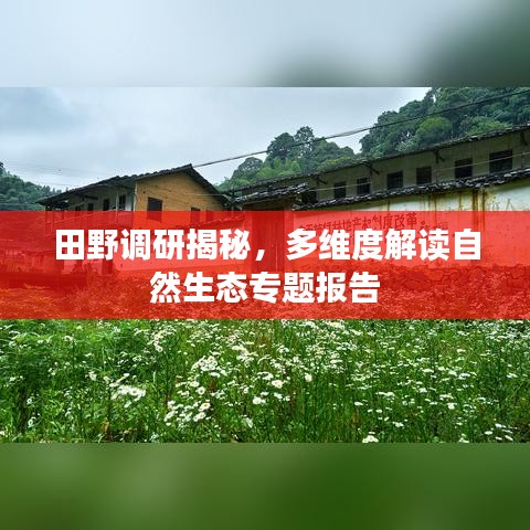 田野調(diào)研揭秘,多維度解讀自然生態(tài)專題報告