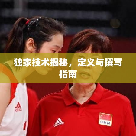 獨家技術揭秘，定義與撰寫指南